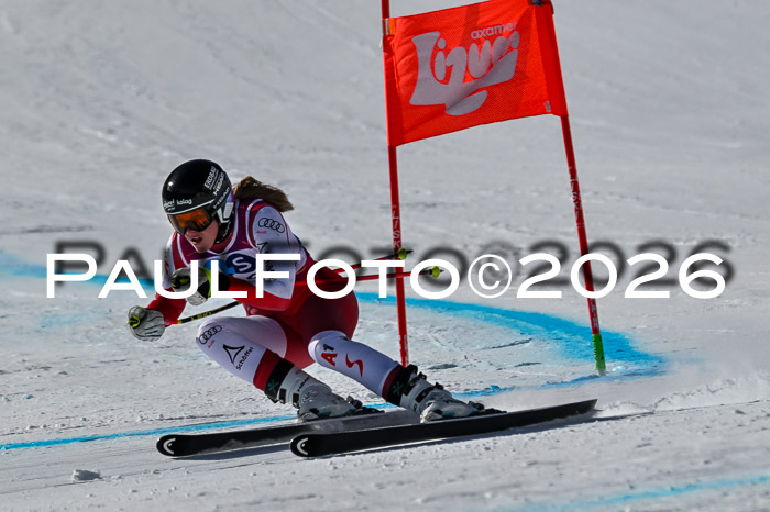 NC + NJC DH ,Frauen + Männer Axamer Lizum 25.03.2026