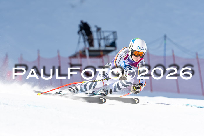 NC + NJC DH ,Frauen + Männer Axamer Lizum 25.03.2026