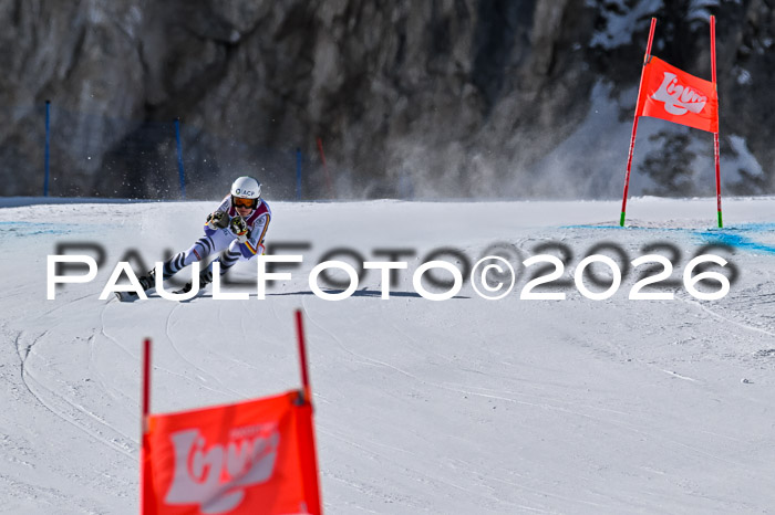 NC + NJC DH ,Frauen + Männer Axamer Lizum 25.03.2026