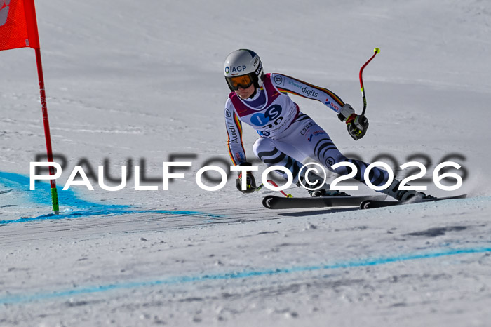 NC + NJC DH ,Frauen + Männer Axamer Lizum 25.03.2026