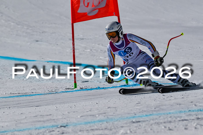 NC + NJC DH ,Frauen + Männer Axamer Lizum 25.03.2026