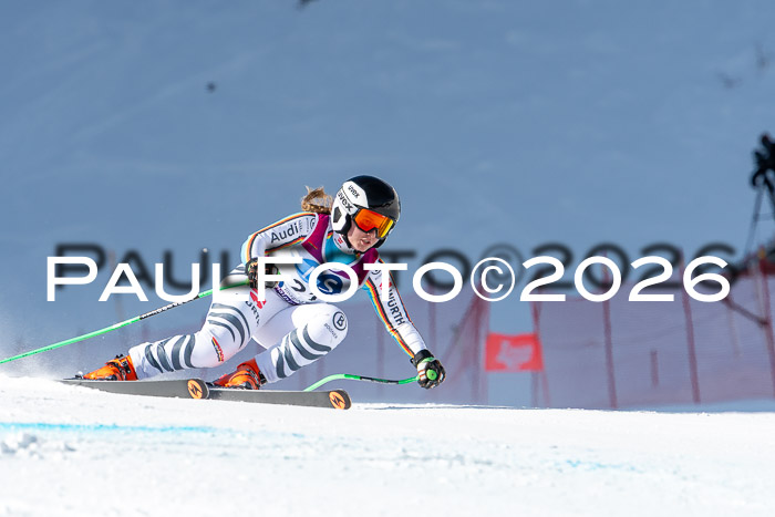 NC + NJC DH ,Frauen + Männer Axamer Lizum 25.03.2026