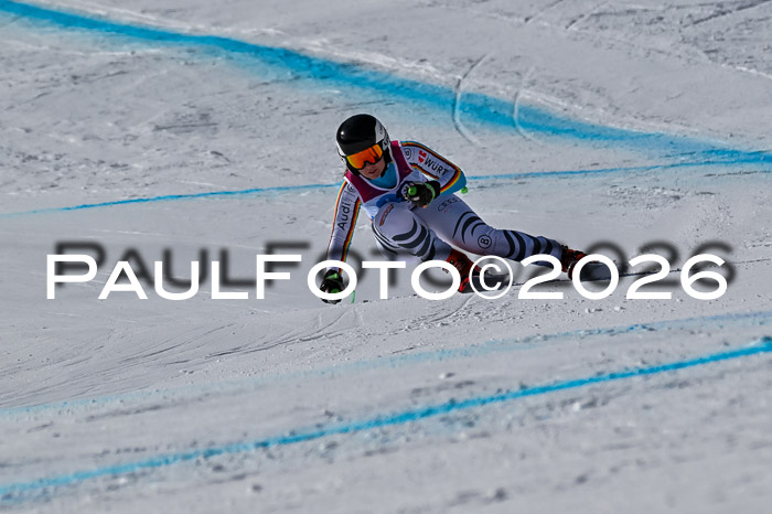 NC + NJC DH ,Frauen + Männer Axamer Lizum 25.03.2026