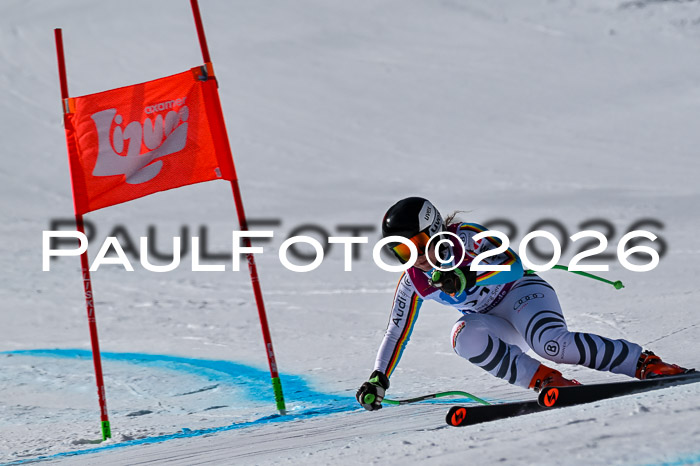 NC + NJC DH ,Frauen + Männer Axamer Lizum 25.03.2026