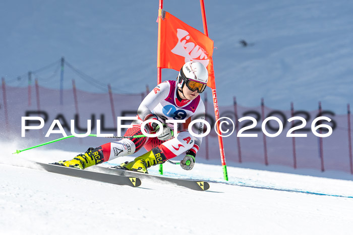 NC + NJC DH ,Frauen + Männer Axamer Lizum 25.03.2026