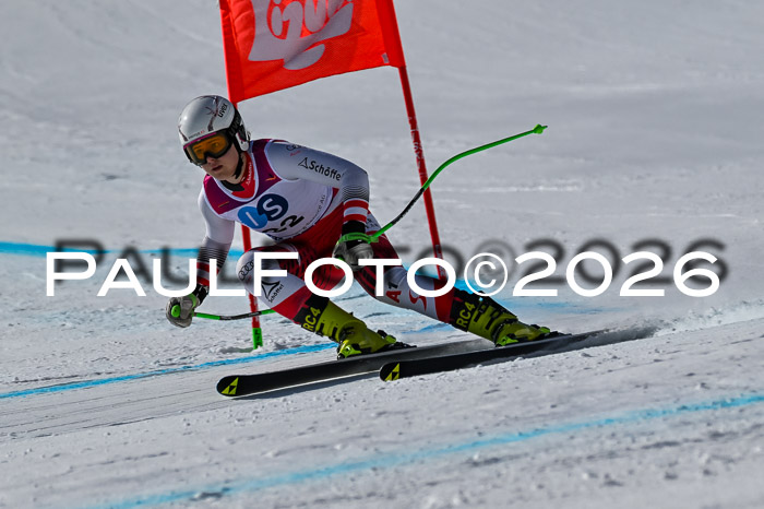 NC + NJC DH ,Frauen + Männer Axamer Lizum 25.03.2026