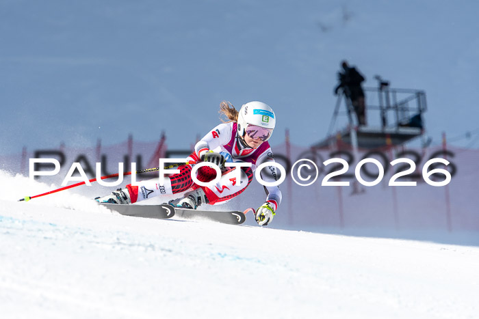 NC + NJC DH ,Frauen + Männer Axamer Lizum 25.03.2026