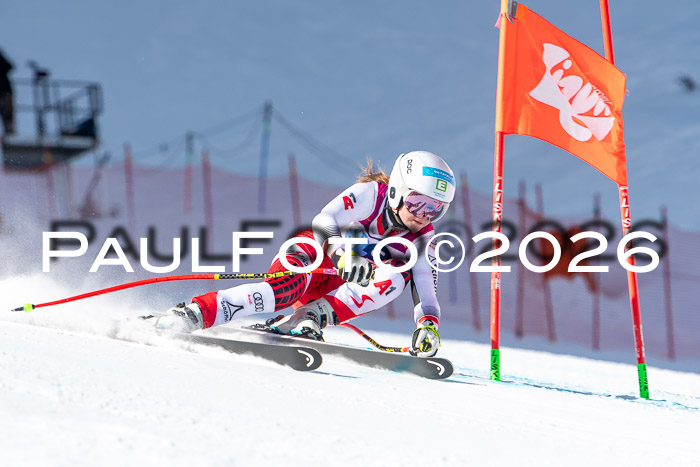 NC + NJC DH ,Frauen + Männer Axamer Lizum 25.03.2026