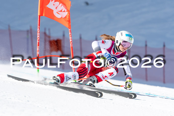 NC + NJC DH ,Frauen + Männer Axamer Lizum 25.03.2026