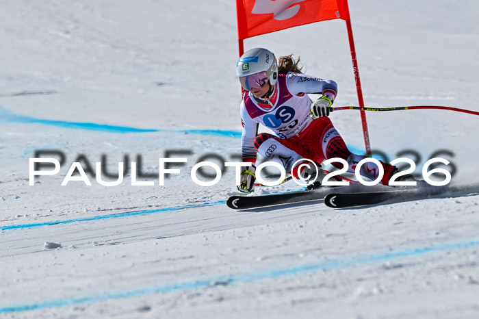 NC + NJC DH ,Frauen + Männer Axamer Lizum 25.03.2026