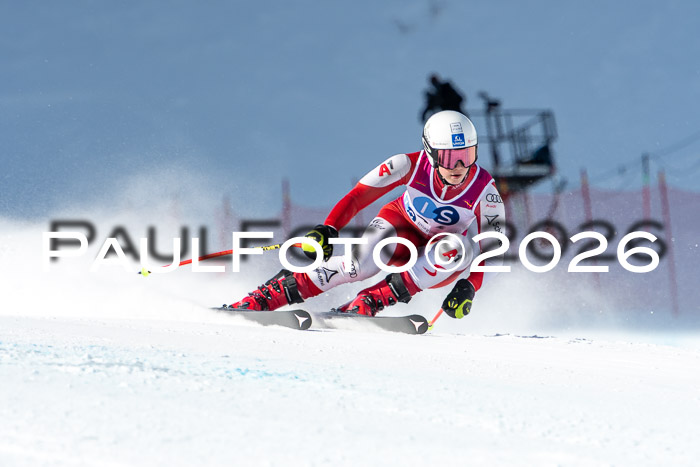 NC + NJC DH ,Frauen + Männer Axamer Lizum 25.03.2026