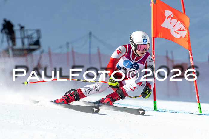 NC + NJC DH ,Frauen + Männer Axamer Lizum 25.03.2026