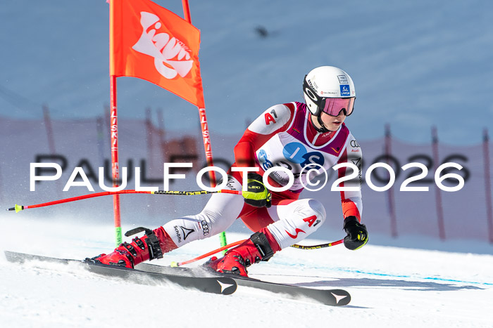 NC + NJC DH ,Frauen + Männer Axamer Lizum 25.03.2026