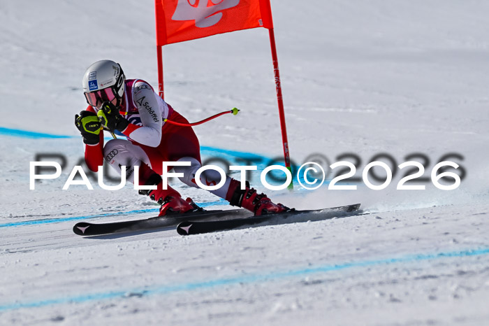 NC + NJC DH ,Frauen + Männer Axamer Lizum 25.03.2026