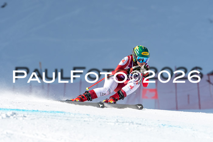 NC + NJC DH ,Frauen + Männer Axamer Lizum 25.03.2026