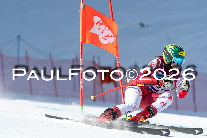 NC + NJC DH ,Frauen + Männer Axamer Lizum 25.03.2026