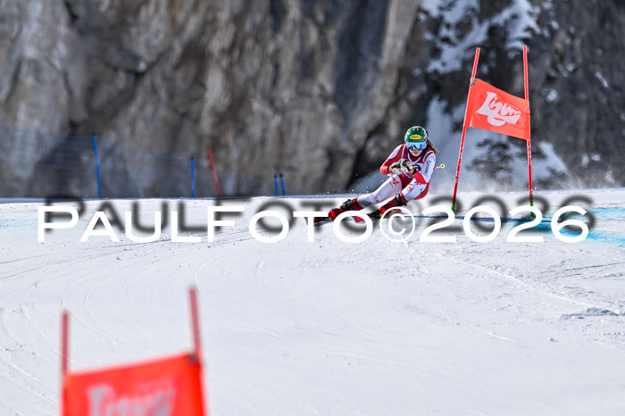 NC + NJC DH ,Frauen + Männer Axamer Lizum 25.03.2026