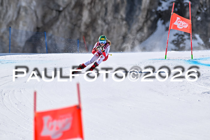 NC + NJC DH ,Frauen + Männer Axamer Lizum 25.03.2026