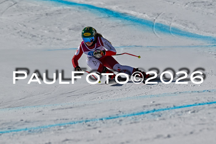 NC + NJC DH ,Frauen + Männer Axamer Lizum 25.03.2026