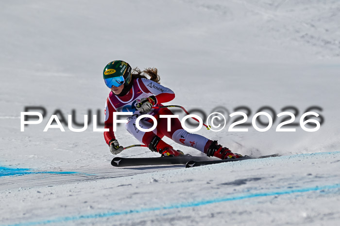 NC + NJC DH ,Frauen + Männer Axamer Lizum 25.03.2026