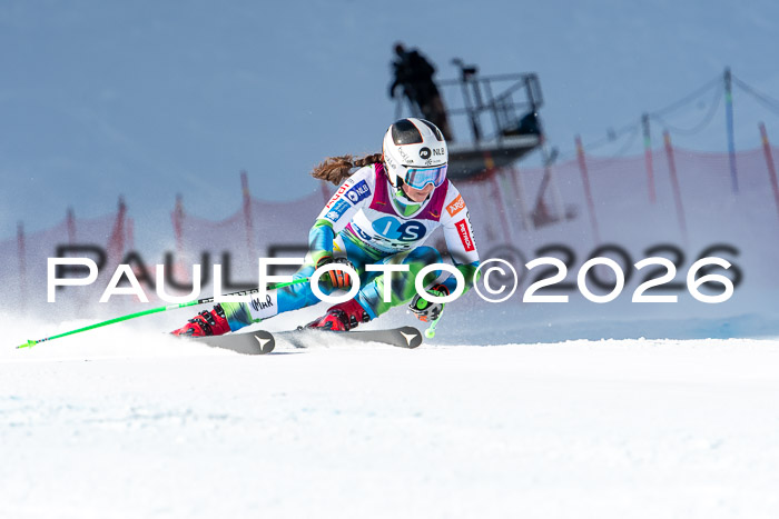 NC + NJC DH ,Frauen + Männer Axamer Lizum 25.03.2026