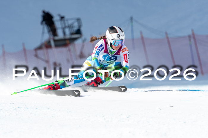 NC + NJC DH ,Frauen + Männer Axamer Lizum 25.03.2026