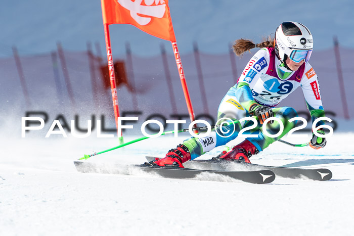 NC + NJC DH ,Frauen + Männer Axamer Lizum 25.03.2026