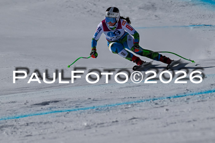 NC + NJC DH ,Frauen + Männer Axamer Lizum 25.03.2026