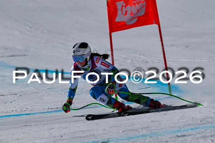 NC + NJC DH ,Frauen + Männer Axamer Lizum 25.03.2026