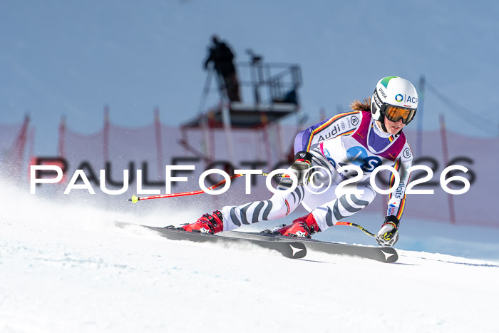 NC + NJC DH ,Frauen + Männer Axamer Lizum 25.03.2026