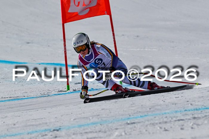 NC + NJC DH ,Frauen + Männer Axamer Lizum 25.03.2026