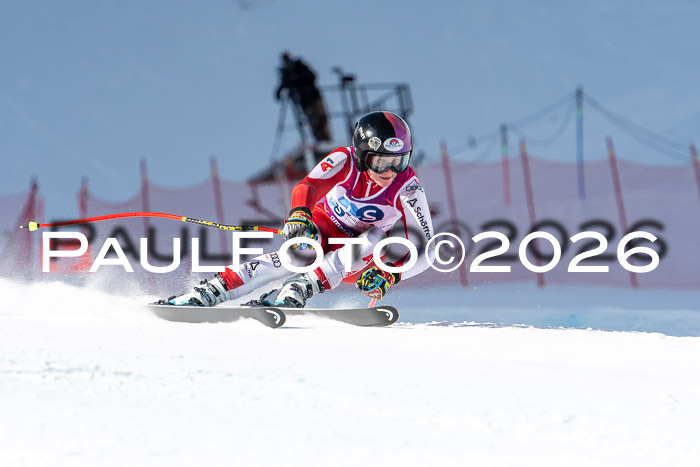 NC + NJC DH ,Frauen + Männer Axamer Lizum 25.03.2026