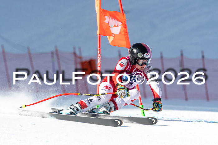 NC + NJC DH ,Frauen + Männer Axamer Lizum 25.03.2026