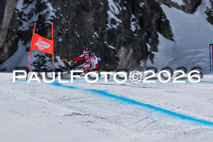 NC + NJC DH ,Frauen + Männer Axamer Lizum 25.03.2026