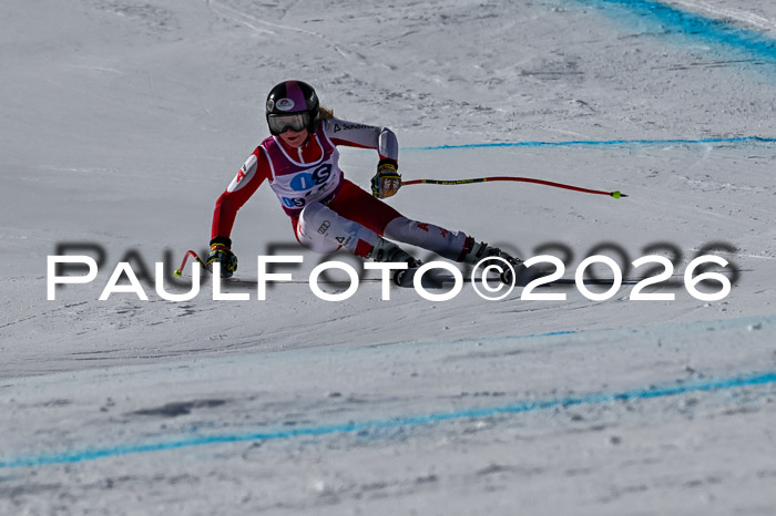 NC + NJC DH ,Frauen + Männer Axamer Lizum 25.03.2026