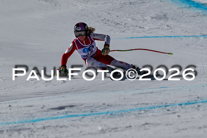 NC + NJC DH ,Frauen + Männer Axamer Lizum 25.03.2026