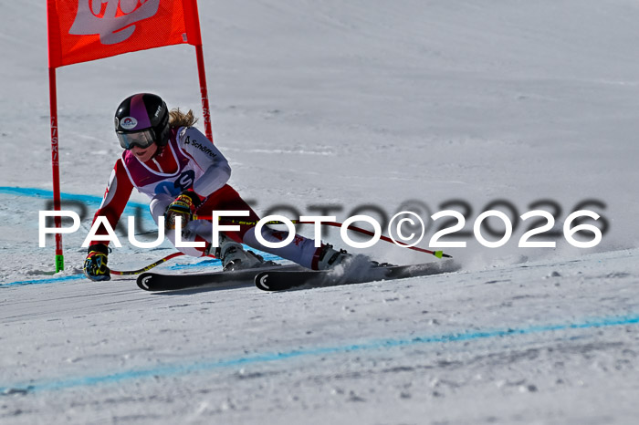 NC + NJC DH ,Frauen + Männer Axamer Lizum 25.03.2026