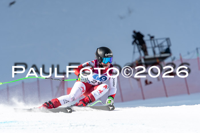 NC + NJC DH ,Frauen + Männer Axamer Lizum 25.03.2026