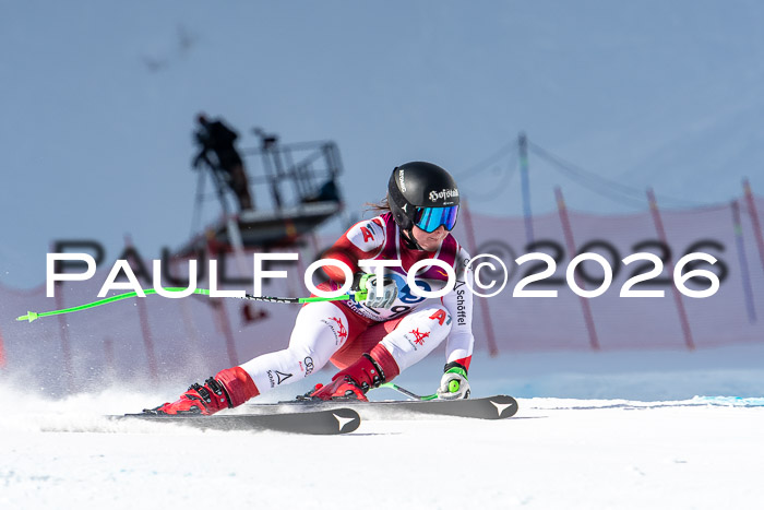 NC + NJC DH ,Frauen + Männer Axamer Lizum 25.03.2026