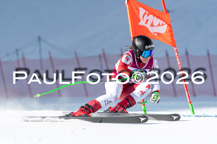 NC + NJC DH ,Frauen + Männer Axamer Lizum 25.03.2026