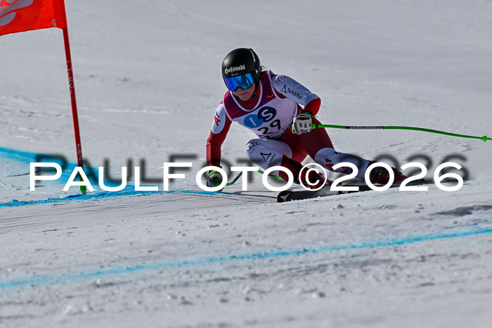 NC + NJC DH ,Frauen + Männer Axamer Lizum 25.03.2026