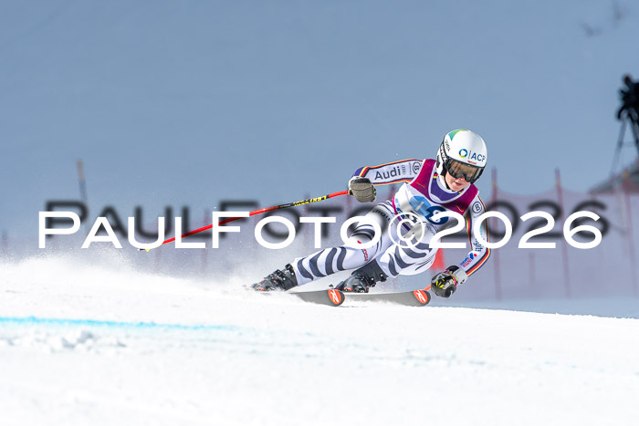 NC + NJC DH ,Frauen + Männer Axamer Lizum 25.03.2026