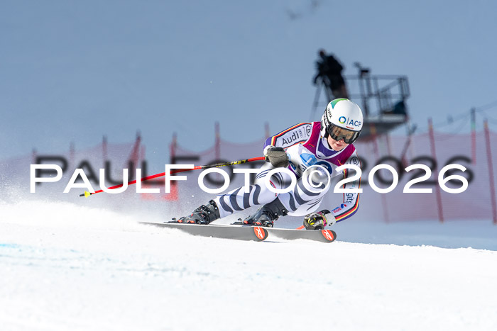 NC + NJC DH ,Frauen + Männer Axamer Lizum 25.03.2026