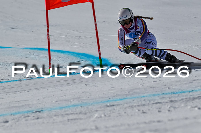 NC + NJC DH ,Frauen + Männer Axamer Lizum 25.03.2026