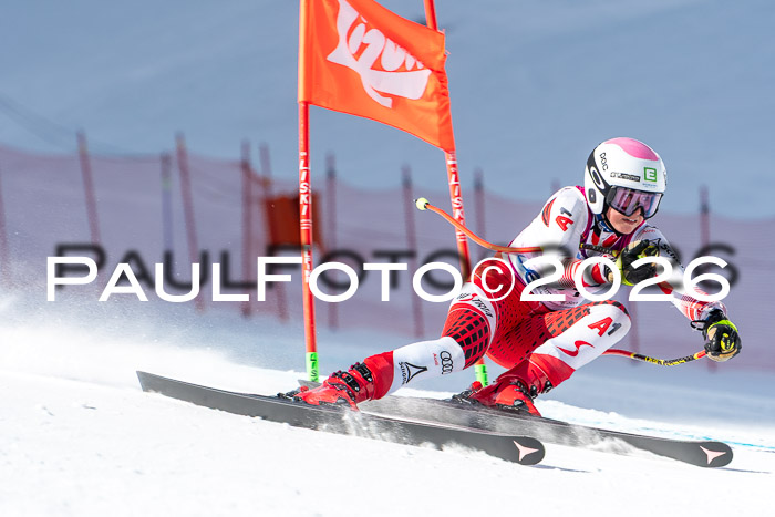 NC + NJC DH ,Frauen + Männer Axamer Lizum 25.03.2026