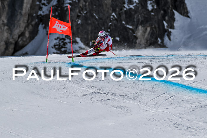 NC + NJC DH ,Frauen + Männer Axamer Lizum 25.03.2026