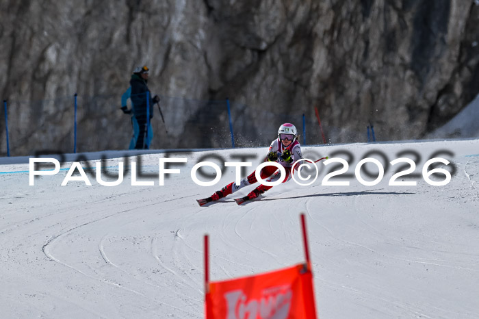 NC + NJC DH ,Frauen + Männer Axamer Lizum 25.03.2026