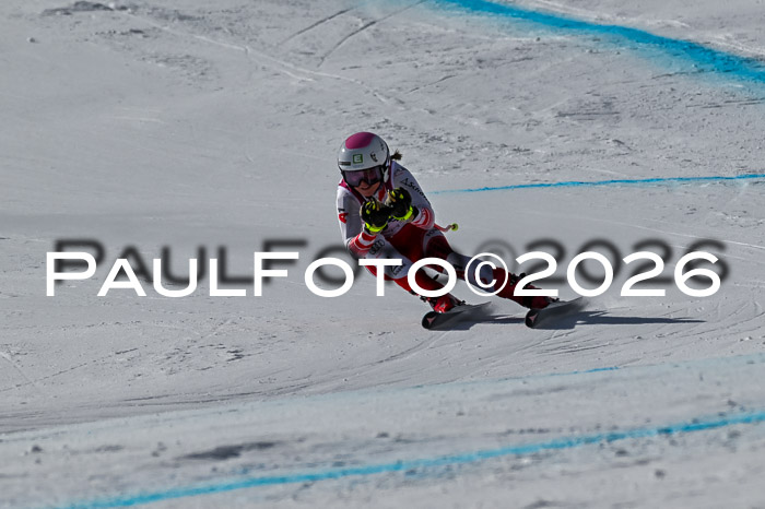 NC + NJC DH ,Frauen + Männer Axamer Lizum 25.03.2026