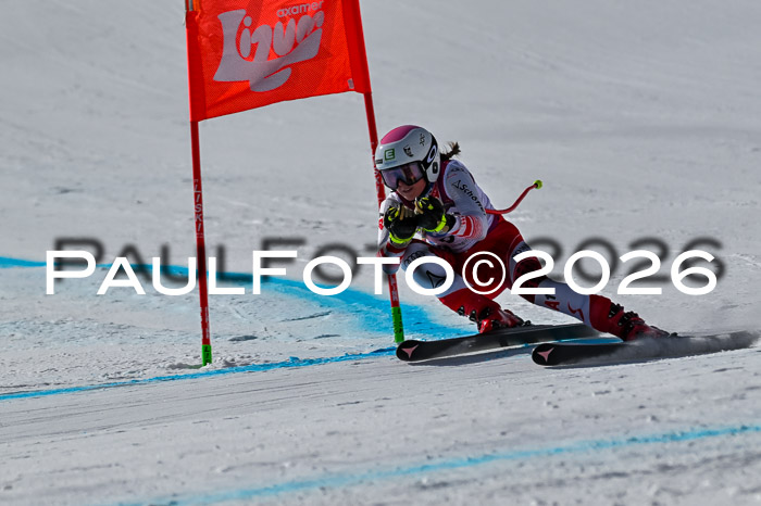 NC + NJC DH ,Frauen + Männer Axamer Lizum 25.03.2026