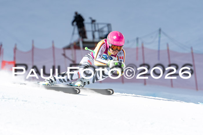 NC + NJC DH ,Frauen + Männer Axamer Lizum 25.03.2026